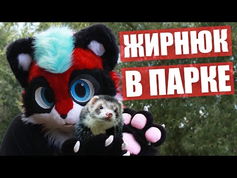 Видео: ХОРЕК на ФУРРИ прогулке ✅ ФУРСЬЮТ встреча в МОСКВЕ