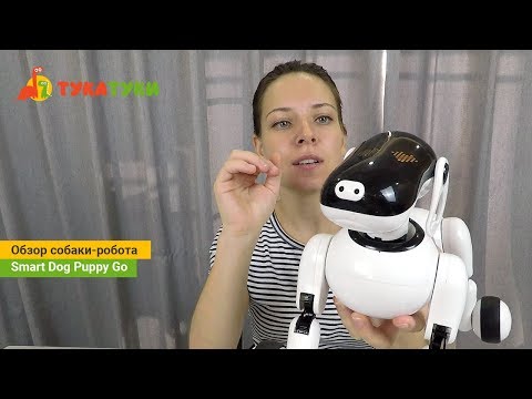 Видео: Обзор супер игрушки собаки-робота Puppy Go Smart Dog