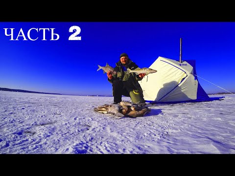 Видео: РЫБАЛКА НА ВИЛЕЙСКОМ ВОДОХРАНИЛИЩЕ.СУМАСШЕДШИЙ КЛЕВ.ТРОЕ СУТОК НА Льду ! Часть 2