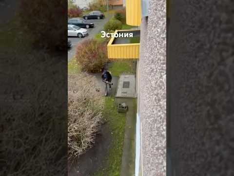 Видео: Вот это машина #техника #технологии #цивилизация