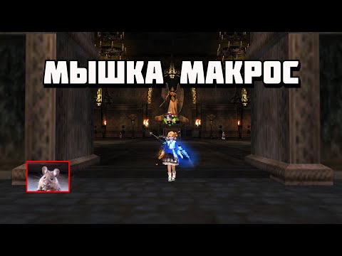Видео: Макрос мыши, максимальное КПД в Lineage 2 #l2