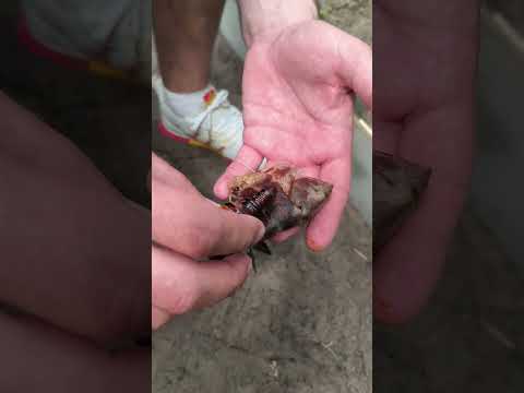 Видео: 💥 Супер ролики на каждый день — это должен увидеть каждый! 😱🔥