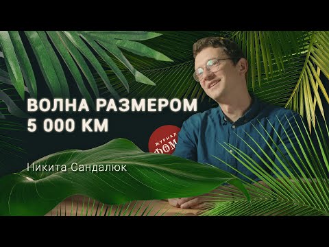 Видео: Скрытая жизнь мирового океана. Океанолог Никита Сандалюк