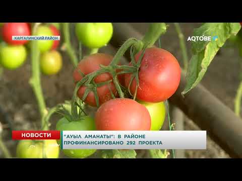 Видео: "Ауыл  аманаты":  в  районе профинансировано  292  проекта