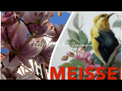 Видео: Mагнолии и MEISSEN!⚜️Он меня ждал! БАРАХОЛКА!
