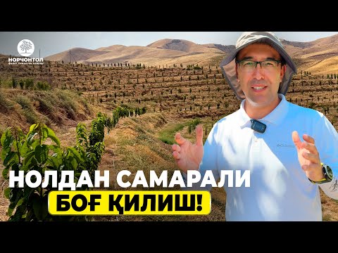 Видео: “0” ДАН САМАРАЛИ БОҒ ҚИЛИШ! #shuhratabrorov