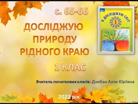 Видео: ЯДС досліджую довкілля 1 клас
