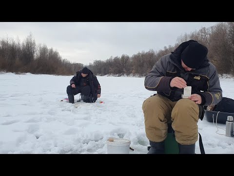 Видео: ВСЯ РЫБА ЗАБИЛАСЬ В ЗАТОНЫ. ПОСЛЕДНИЙ ЛЁД