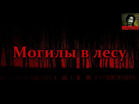 Видео: МОГИЛЫ В ЛЕСУ. Страшные истории на ночь. Страшилки на ночь