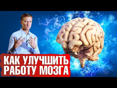 Видео: Как улучшить работу мозга и не допустить атрофию мозга🧠