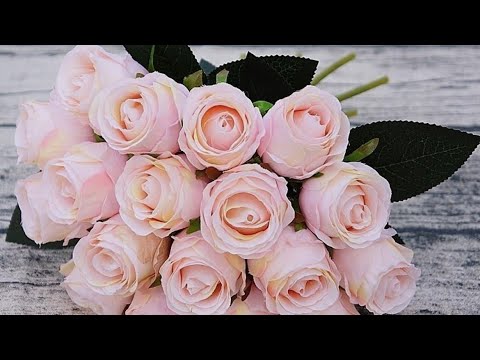 Видео: Роза которой нет | Новый аромат