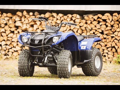 Видео: Yamaha Grizzly 125 ремонт часть 2, задний мост, ступица, подшипники.