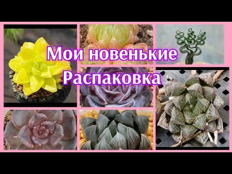 Видео: Новенькие из Китая🤗Распаковка 