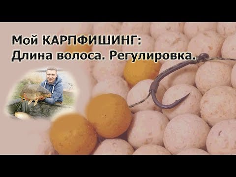 Видео: МОЙ КАРПФИШИНГ: ДЛИНА ВОЛОСА. РЕГУЛИРОВКА.