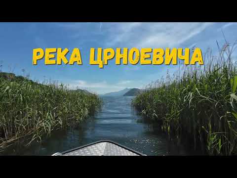 Видео: Черногорская Амазонка: экскурсия на катере по реке Црноевича