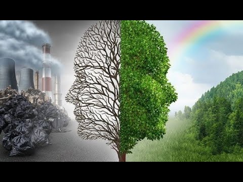 Видео: Жамбыл РО