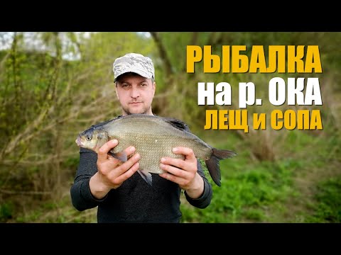 Видео: Рыбалка весной на р. Ока. Фидер.  Лещ и много “бели”.