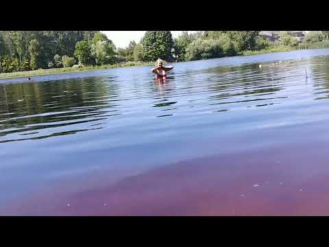 Видео: Место для отдыха и рыбалки в Латвии.VLOG#латвия #река#местодлярыбалки#рекасвете