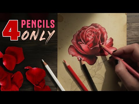 Видео: ЛЕГКИЙ 3D-эффект розы ВСЕГО с 4 цветными карандашами!