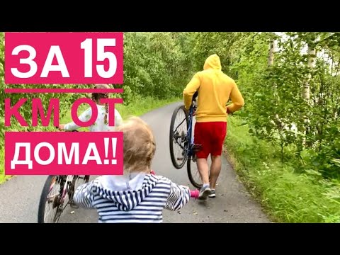 Видео: Остался без колеса! 😰 прогулка с песилями 🐶 пополнение у уточек!Привезли окна | VLOG