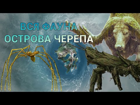 Видео: ВСЯ ФАУНА ОСТРОВА ЧЕРЕПА | MONSTERVERSE