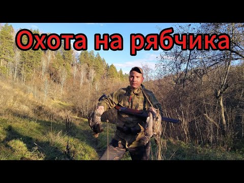 Видео: ОТКРЫЛСЯ ПО БОРОВОЙ ДИЧИ . ТАКОЙ ОХОТЫ НЕ БЫЛО ДАВНО. РЯБЧИКИ ВЫЛЕТАЮТ ИЗ ПОД НОГ . 