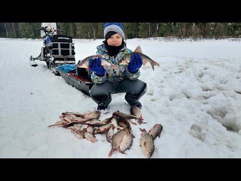 Видео: Всё-таки не зря мы вернулись на прежнее место р Етыпур