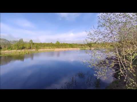 Видео: Пейзажи реки Дубны. Весна. Прогулка Устье-Стрелка - Филиппово. Май 2023 года.