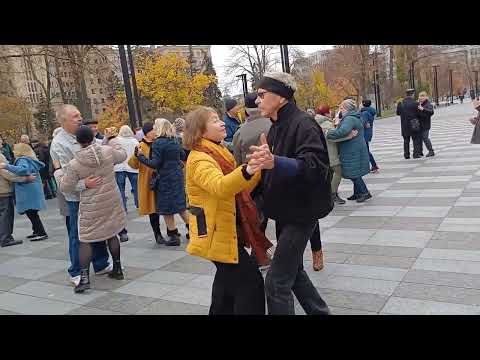 Видео: ЛЕЖАЛА РОЗА В УЛИЧНОЙ ПЫЛИ