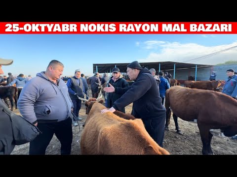 Видео: 25-ОКТЯБРЯ НОКИС РАЙОН МАЛ БАЗАРЫ СКОТНЫЙ РЫНОК BIGG BULLS IN THE WORLD