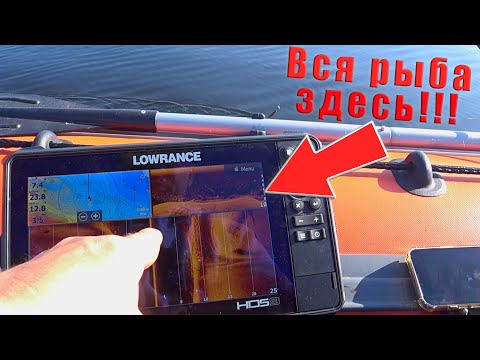 Видео: ЖАРКАЯ ОСЕНЬ 2023!!! НАШЕЛ САМЫЕ РЫБНЫЕ МЕСТА!!!