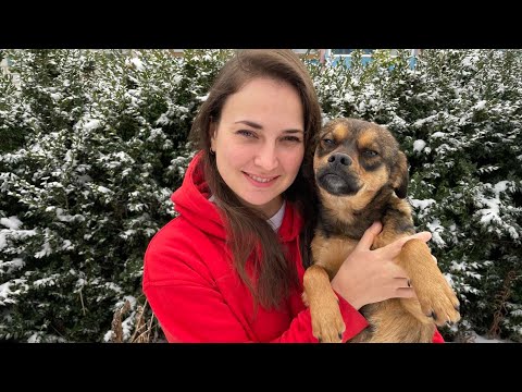 Видео: ПРОГРЕСИВНЕ СВИНАРСТВО. Мега-КОРИСНЕ відео.