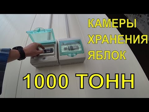 Видео: 4 камеры хранения яблок по 250 тонн Хранилище для яблок