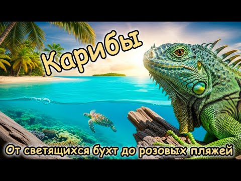 Видео: 🌴 Карибы: Тайны Островов и Морей! 🌊✨
