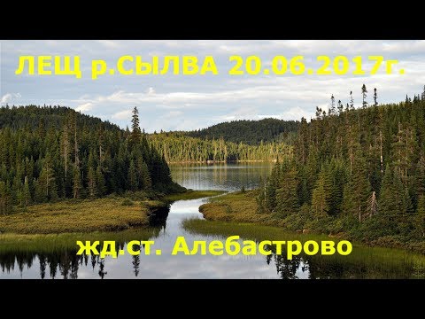 Видео: Ловим Леща р. СЫЛВА / Catch Bream, R. SYLVA