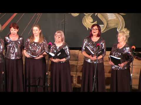 Видео: Вокална група „Диагонал“