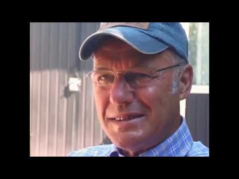 Видео: николаевские голуби интересные советы западных голубеводов