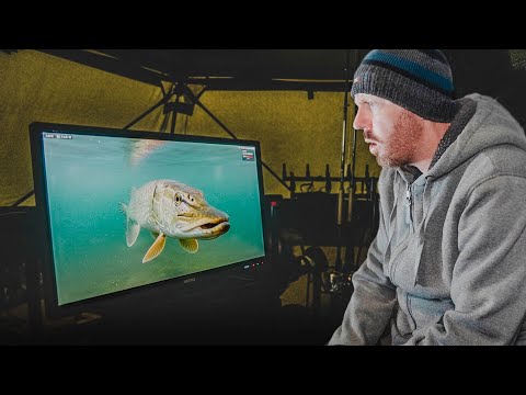 Видео: Я не мог поверить, что заснял ПОД ВОДОЙ! Ловля щуки на реке