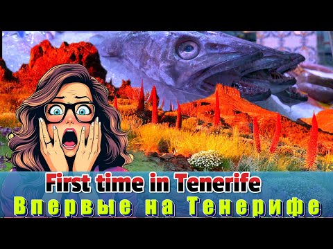 Видео: Впервые на Тенерифе. Что посмотреть в первую очередь?