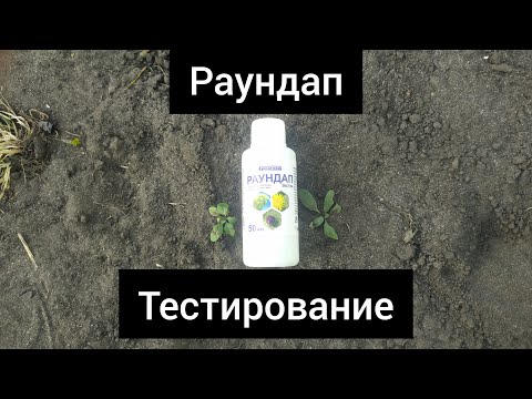 Видео: Средство от сорняков Раундап (гербицид). Тестирование.