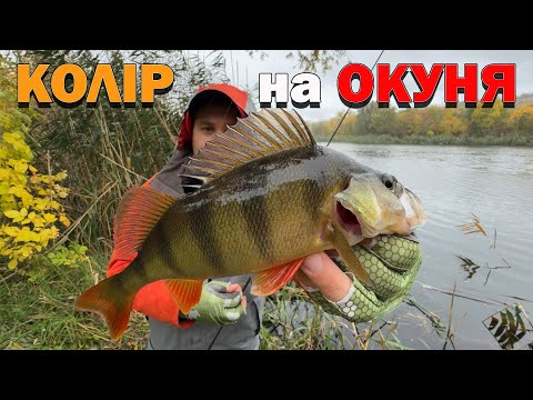 Видео: Обираєм ПРИМАНКИ на ОКУНЯ Рибалка в жовтні