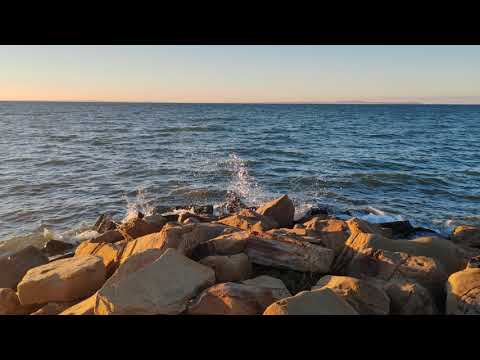 Видео: Таманский залив 01.11.2025