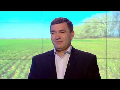 Видео: Туган жир | 18/10/2019