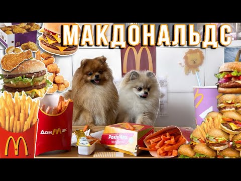 Видео: Макдональдс для собак 🍔🐶🍟 Повторяю всё меню 😍