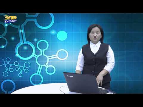 Видео: ИНФОРМАТИКА// ПИТОН ПРОГРАММАСЫ МЕНЕН ИШТӨӨ