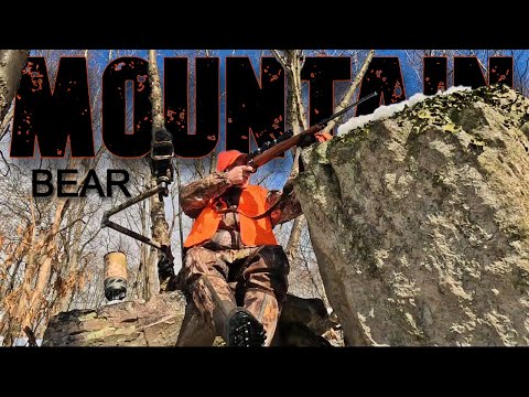 Видео: День открытия сезона охоты на медведя в Пенсильвании 2024: Моя первая охота на медведя (на YouTube)