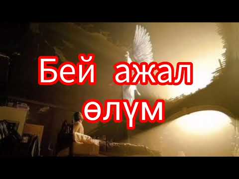 Видео: Бей ажал өлум