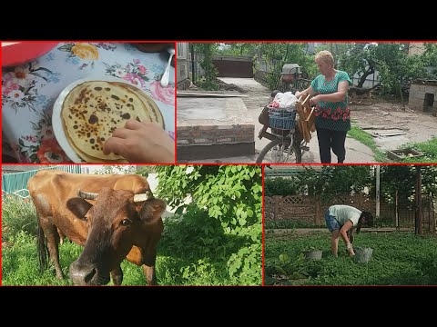 Видео: Мотивация на Работу по Хозяйству .Утро доярочки