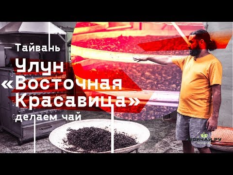 Видео: Производство чая Дунфан Мэйжень (Восточная Красавица). Тайвань.