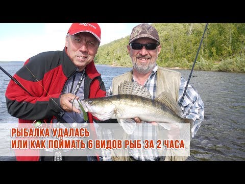 Видео: Рыбалка удалась или как поймать 6 видов рыб за 2 часа